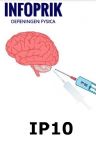 INFOPRIK-> Proefexamen IP10