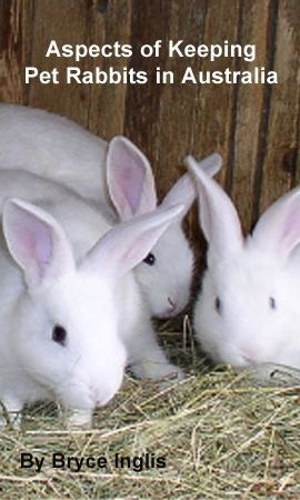 Aspects of Keeping Pet Rabbits in Australia