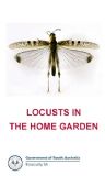 Locusts in the home garden